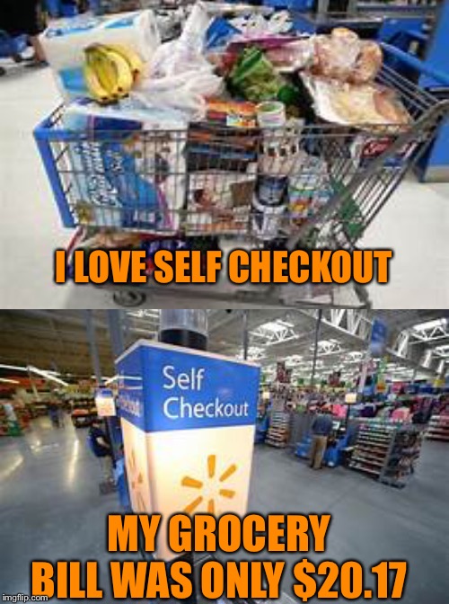 I don't dread grocery shopping anymore lol | I LOVE SELF CHECKOUT; MY GROCERY BILL WAS ONLY $20.17 | image tagged in memes | made w/ Imgflip meme maker