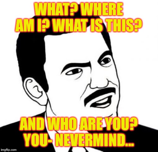 Seriously Face Meme | WHAT? WHERE AM I? WHAT IS THIS? AND WHO ARE YOU? YOU- NEVERMIND... | image tagged in memes,seriously face | made w/ Imgflip meme maker
