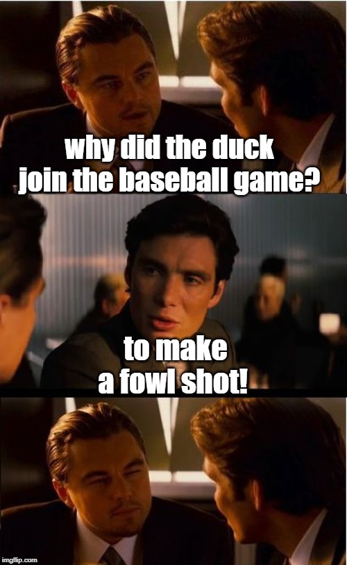 Baseball game | why did the duck join the baseball game? to make a fowl shot! | image tagged in sports | made w/ Imgflip meme maker