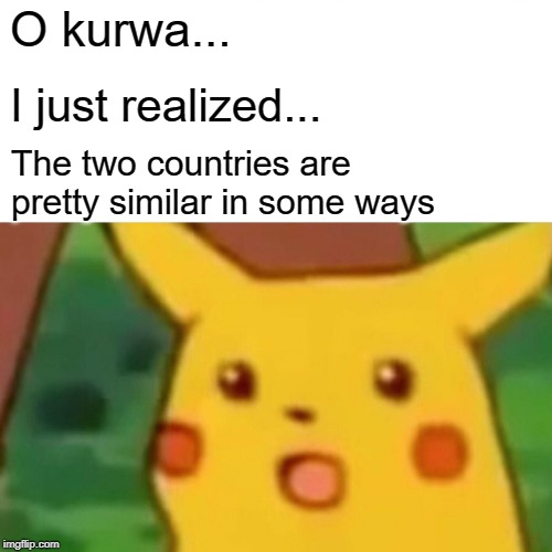 Surprised Pikachu Meme | O kurwa... I just realized... The two countries are pretty similar in some ways | image tagged in memes,surprised pikachu | made w/ Imgflip meme maker