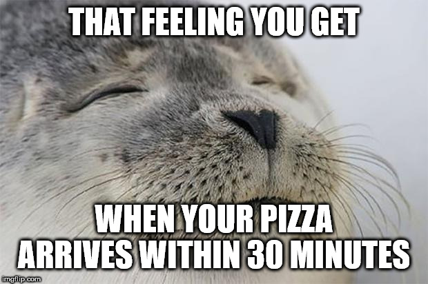Satisfied Seal Meme | THAT FEELING YOU GET; WHEN YOUR PIZZA ARRIVES WITHIN 30 MINUTES | image tagged in memes,satisfied seal | made w/ Imgflip meme maker