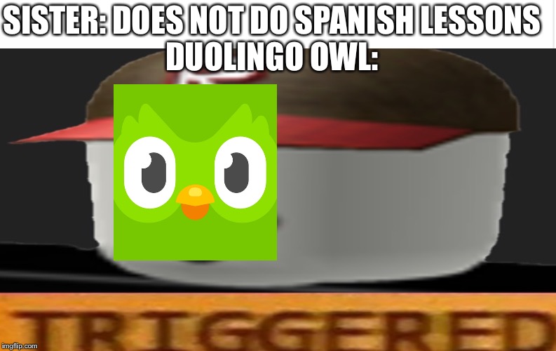 SISTER: DOES NOT DO SPANISH LESSONS
DUOLINGO OWL: | made w/ Imgflip meme maker