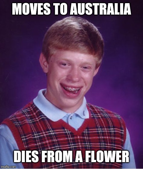 Bad Luck Brian Meme | MOVES TO AUSTRALIA DIES FROM A FLOWER | image tagged in memes,bad luck brian | made w/ Imgflip meme maker