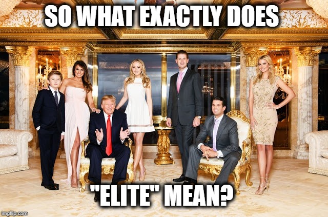 SO WHAT EXACTLY DOES "ELITE" MEAN? | made w/ Imgflip meme maker