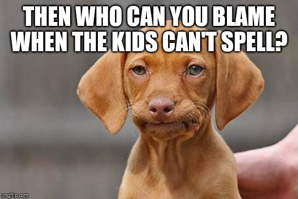 Dissapointed puppy | THEN WHO CAN YOU BLAME WHEN THE KIDS CAN'T SPELL? | image tagged in dissapointed puppy | made w/ Imgflip meme maker