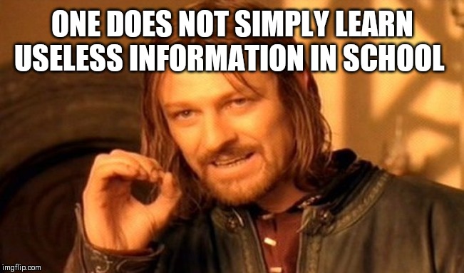 One Does Not Simply Meme | ONE DOES NOT SIMPLY LEARN USELESS INFORMATION IN SCHOOL | image tagged in memes,one does not simply | made w/ Imgflip meme maker