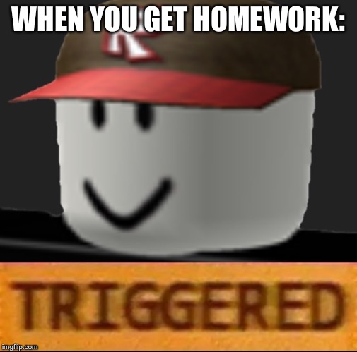 Roblox Triggered |  WHEN YOU GET HOMEWORK: | image tagged in roblox triggered | made w/ Imgflip meme maker