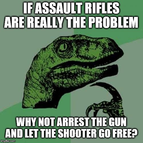 Philosoraptor Meme | IF ASSAULT RIFLES ARE REALLY THE PROBLEM; WHY NOT ARREST THE GUN AND LET THE SHOOTER GO FREE? | image tagged in memes,philosoraptor | made w/ Imgflip meme maker