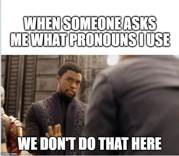 We don't do that here | WHEN SOMEONE ASKS ME WHAT PRONOUNS I USE; WE DON'T DO THAT HERE | image tagged in we don't do that here | made w/ Imgflip meme maker
