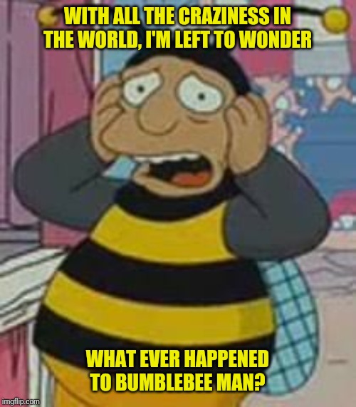 The worlds crazy | WITH ALL THE CRAZINESS IN THE WORLD, I'M LEFT TO WONDER; WHAT EVER HAPPENED TO BUMBLEBEE MAN? | image tagged in simpsons,bumblebee,what happened,to,man,crazy | made w/ Imgflip meme maker