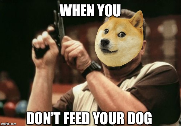 Am I The Only One Around Here | WHEN YOU; DON’T FEED YOUR DOG | image tagged in memes,am i the only one around here | made w/ Imgflip meme maker