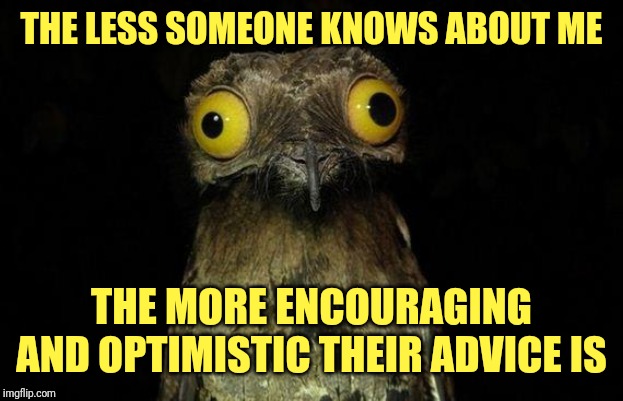 Weird Stuff I Do Potoo Meme | THE LESS SOMEONE KNOWS ABOUT ME; THE MORE ENCOURAGING AND OPTIMISTIC THEIR ADVICE IS | image tagged in memes,weird stuff i do potoo | made w/ Imgflip meme maker