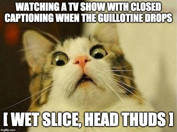 Wet slice, head thuds | WATCHING A TV SHOW WITH CLOSED CAPTIONING WHEN THE GUILLOTINE DROPS; [ WET SLICE, HEAD THUDS ] | image tagged in memes,scared cat,subtitles,closed captioning,guillotine | made w/ Imgflip meme maker