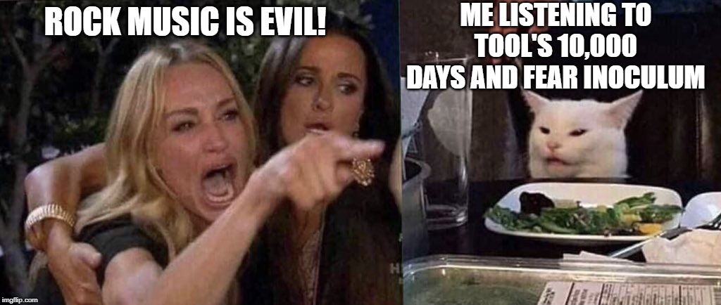 woman yelling at cat | ME LISTENING TO TOOL'S 10,000 DAYS AND FEAR INOCULUM; ROCK MUSIC IS EVIL! | image tagged in woman yelling at cat,tool,10000 days,fear inoculum,music | made w/ Imgflip meme maker