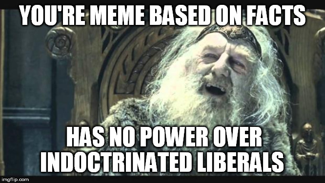 You have no power here | YOU'RE MEME BASED ON FACTS HAS NO POWER OVER INDOCTRINATED LIBERALS | image tagged in you have no power here | made w/ Imgflip meme maker