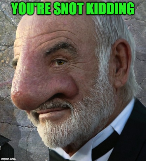 Connery big nose | YOU'RE SNOT KIDDING | image tagged in connery big nose | made w/ Imgflip meme maker