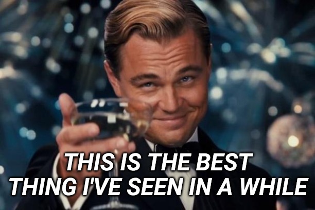 Leonardo Dicaprio Cheers Meme | THIS IS THE BEST THING I'VE SEEN IN A WHILE | image tagged in memes,leonardo dicaprio cheers | made w/ Imgflip meme maker