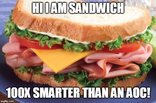 Sandwich | HI I AM SANDWICH 100X SMARTER THAN AN AOC! | image tagged in sandwich | made w/ Imgflip meme maker