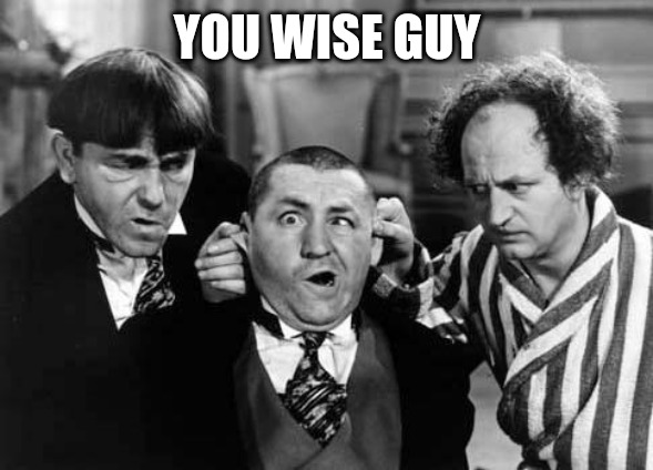 Three Stooges | YOU WISE GUY | image tagged in three stooges | made w/ Imgflip meme maker