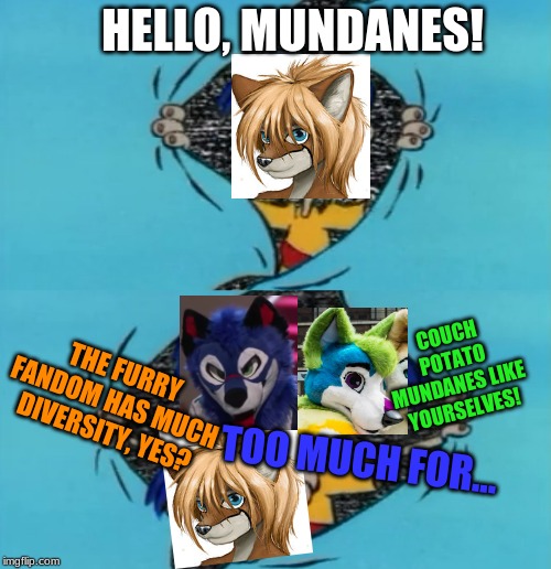 HELLO, MUNDANES! COUCH POTATO MUNDANES LIKE YOURSELVES! THE FURRY FANDOM HAS MUCH DIVERSITY, YES? TOO MUCH FOR... | image tagged in normies,furry,diversity | made w/ Imgflip meme maker