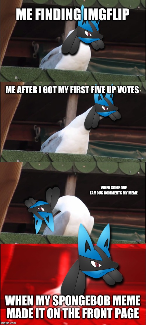 Inhaling Seagull Meme |  ME FINDING IMGFLIP; ME AFTER I GOT MY FIRST FIVE UP VOTES; WHEN SOME ONE FAMOUS COMMENTS MY MEME; WHEN MY SPONGEBOB MEME MADE IT ON THE FRONT PAGE | image tagged in memes,inhaling seagull | made w/ Imgflip meme maker