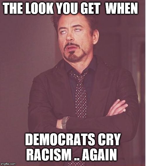 Face You Make Robert Downey Jr Meme | THE LOOK YOU GET  WHEN DEMOCRATS CRY RACISM .. AGAIN | image tagged in memes,face you make robert downey jr | made w/ Imgflip meme maker
