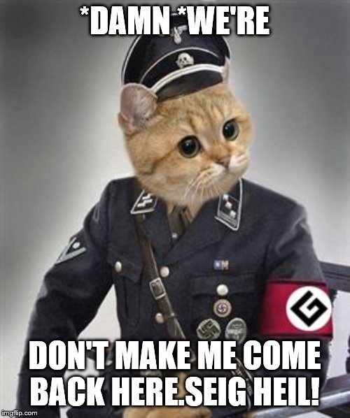 Grammar Nazi Cat | *DAMN *WE'RE DON'T MAKE ME COME BACK HERE.SEIG HEIL! | image tagged in grammar nazi cat | made w/ Imgflip meme maker
