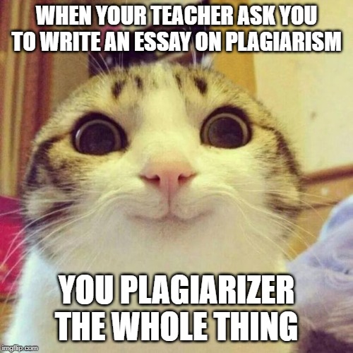 Smiling Cat | WHEN YOUR TEACHER ASK YOU TO WRITE AN ESSAY ON PLAGIARISM; YOU PLAGIARIZER THE WHOLE THING | image tagged in memes,smiling cat | made w/ Imgflip meme maker