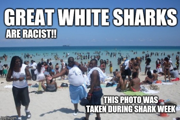 Even SHARKS are Racists!! | ARE RACIST!! THIS PHOTO WAS TAKEN DURING SHARK WEEK | image tagged in funny,memes,gifs,shark week | made w/ Imgflip meme maker