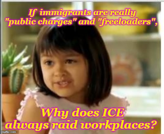 They Don't Raid the Food Stamp Office |  If  immigrants are really "public charges" and "freeloaders", Why does ICE always raid workplaces? | image tagged in why not both,immigrants,ice is cold,work,fairness,justice | made w/ Imgflip meme maker