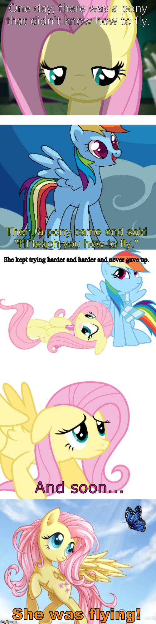 My First Succesful Multi-panel Creation. | One day, there was a pony that didn't know how to fly. Then, a pony came and said ''I'll teach you how to fly.''; She kept trying harder and harder and never gave up. And soon... She was flying! | image tagged in memes,mlp,my little pony,mlp meme | made w/ Imgflip meme maker