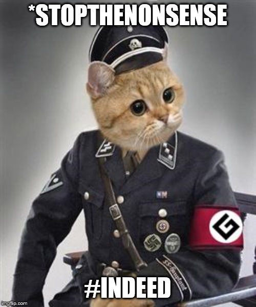 Grammar Nazi Cat | *STOPTHENONSENSE #INDEED | image tagged in grammar nazi cat | made w/ Imgflip meme maker