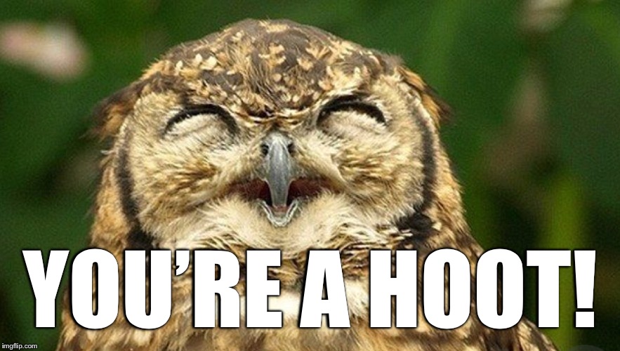 YOU’RE A HOOT! | made w/ Imgflip meme maker