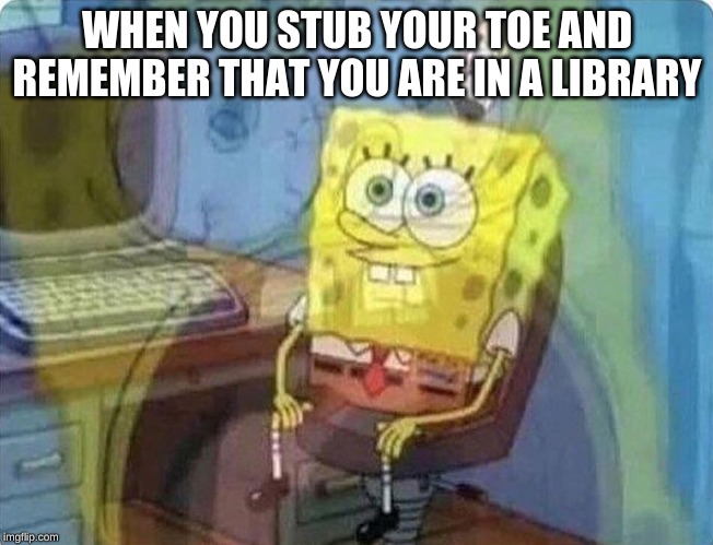 spongebob screaming inside | WHEN YOU STUB YOUR TOE AND REMEMBER THAT YOU ARE IN A LIBRARY | image tagged in spongebob screaming inside | made w/ Imgflip meme maker