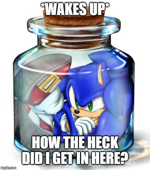 Sonic | *WAKES UP*; HOW THE HECK DID I GET IN HERE? | image tagged in sonic | made w/ Imgflip meme maker