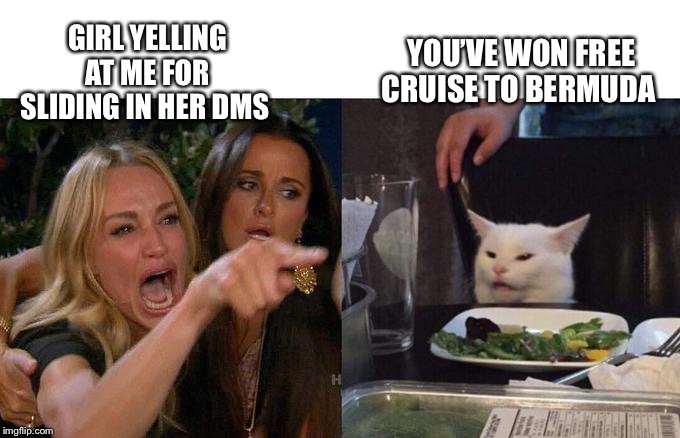 Woman Yelling At Cat | YOU’VE WON FREE CRUISE TO BERMUDA; GIRL YELLING AT ME FOR SLIDING IN HER DMS | image tagged in two women yelling at a cat | made w/ Imgflip meme maker