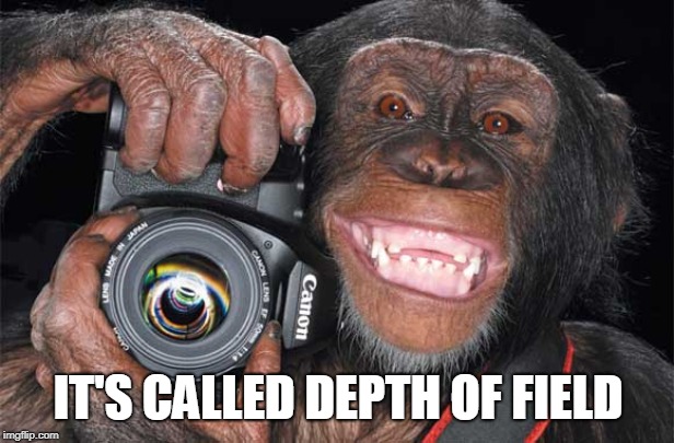Camera Monkey | IT'S CALLED DEPTH OF FIELD | image tagged in camera monkey | made w/ Imgflip meme maker