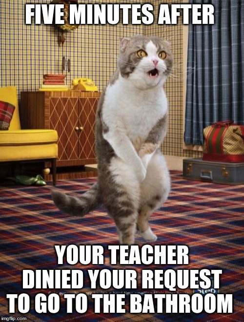 Gotta Go Cat | FIVE MINUTES AFTER; YOUR TEACHER DINIED YOUR REQUEST TO GO TO THE BATHROOM | image tagged in memes,gotta go cat | made w/ Imgflip meme maker