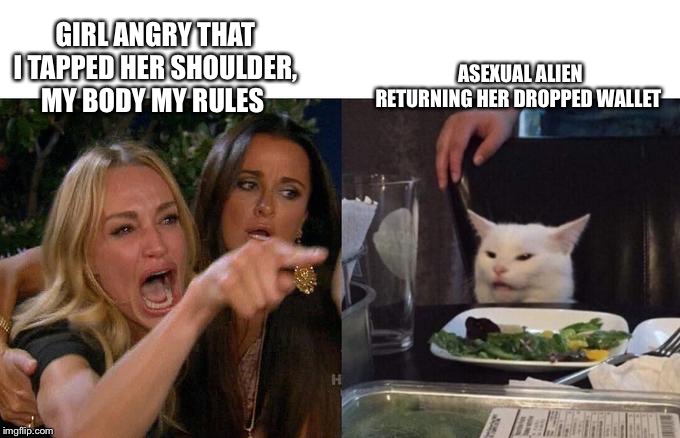 Woman Yelling At Cat | ASEXUAL ALIEN RETURNING HER DROPPED WALLET; GIRL ANGRY THAT I TAPPED HER SHOULDER, MY BODY MY RULES | image tagged in two women yelling at a cat | made w/ Imgflip meme maker