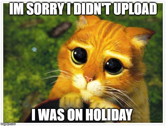 Sorry Kitty | IM SORRY I DIDN'T UPLOAD; I WAS ON HOLIDAY | image tagged in sorry kitty | made w/ Imgflip meme maker
