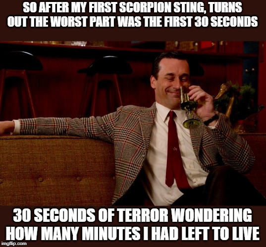 It hurts for sure but | SO AFTER MY FIRST SCORPION STING, TURNS OUT THE WORST PART WAS THE FIRST 30 SECONDS; 30 SECONDS OF TERROR WONDERING HOW MANY MINUTES I HAD LEFT TO LIVE | image tagged in memes,fun,funny,scorpion | made w/ Imgflip meme maker