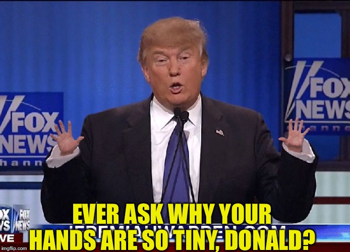 Tiny Hands Trump | EVER ASK WHY YOUR HANDS ARE SO TINY, DONALD? | image tagged in tiny hands trump | made w/ Imgflip meme maker