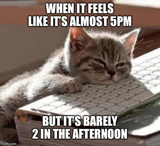 tired cat | WHEN IT FEELS LIKE IT’S ALMOST 5PM; BUT IT’S BARELY 2 IN THE AFTERNOON | image tagged in tired cat | made w/ Imgflip meme maker