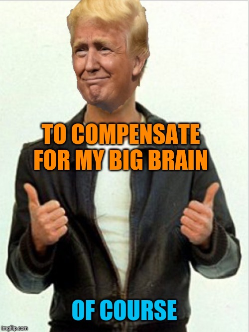 Fonzie Trump | TO COMPENSATE FOR MY BIG BRAIN OF COURSE | image tagged in fonzie trump | made w/ Imgflip meme maker