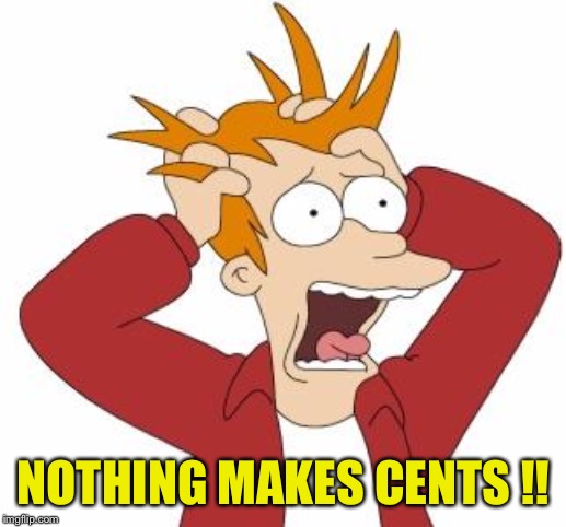 Fry Freaking Out | NOTHING MAKES CENTS !! | image tagged in fry freaking out | made w/ Imgflip meme maker