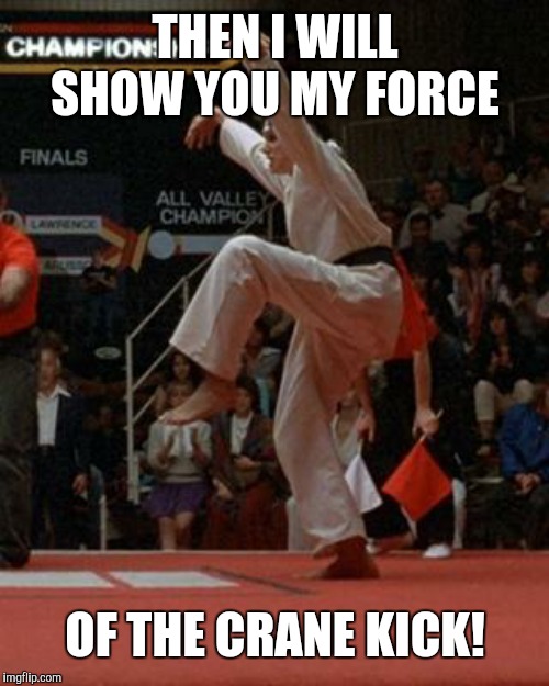 karate kid | THEN I WILL SHOW YOU MY FORCE OF THE CRANE KICK! | image tagged in karate kid | made w/ Imgflip meme maker