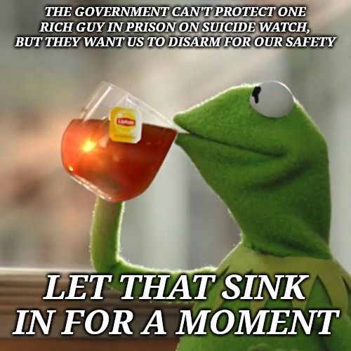 Reread that a second time, but slower and let it sink in. | THE GOVERNMENT CAN'T PROTECT ONE RICH GUY IN PRISON ON SUICIDE WATCH, BUT THEY WANT US TO DISARM FOR OUR SAFETY; LET THAT SINK IN FOR A MOMENT | image tagged in memes,but thats none of my business,kermit the frog | made w/ Imgflip meme maker
