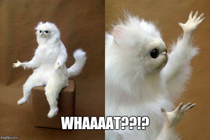Persian Cat Room Guardian Meme | WHAAAAT??!? | image tagged in memes,persian cat room guardian | made w/ Imgflip meme maker