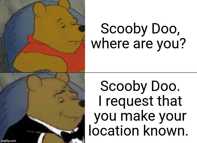 Tuxedo Winnie The Pooh Meme | Scooby Doo, where are you? Scooby Doo. I request that you make your location known. | image tagged in memes,tuxedo winnie the pooh,scooby doo,scooby,bear,dog | made w/ Imgflip meme maker