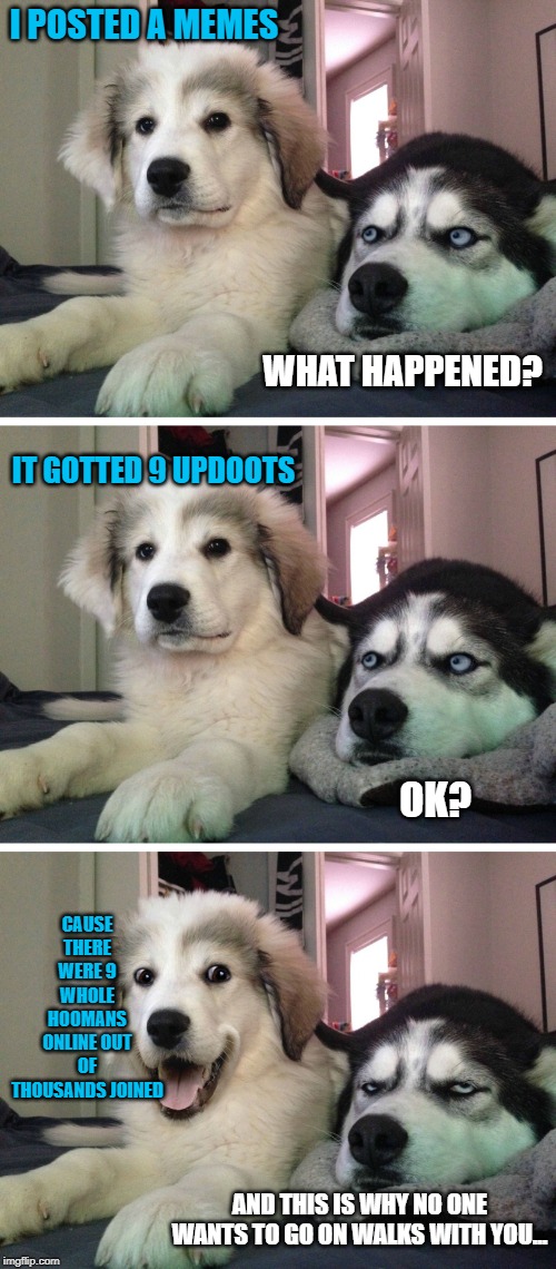 Bad pun dogs | I POSTED A MEMES; WHAT HAPPENED? IT GOTTED 9 UPDOOTS; OK? CAUSE THERE WERE 9 WHOLE HOOMANS ONLINE OUT OF THOUSANDS JOINED; AND THIS IS WHY NO ONE WANTS TO GO ON WALKS WITH YOU... | image tagged in bad pun dogs | made w/ Imgflip meme maker